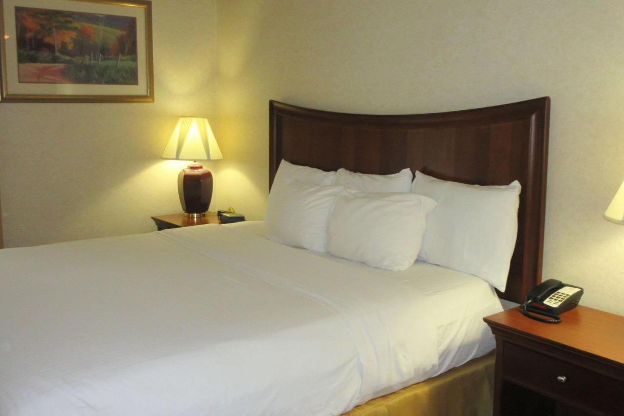 Quality Inn & Suites Owego Esterno foto